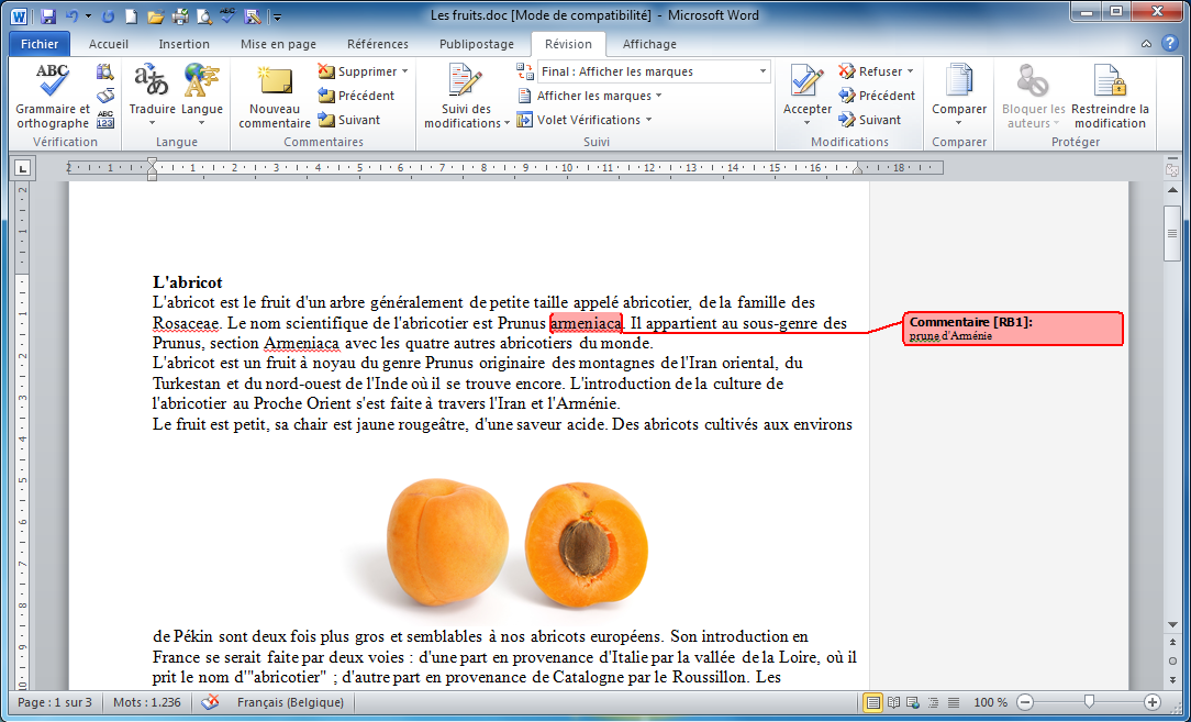 Open Office Insertion Page De Garde Non Compté Module 3 Bureautique : Word 2010 - Writer 4 (Bases) - 11.11a